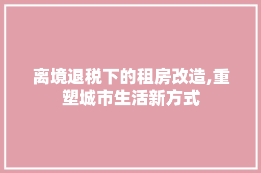 离境退税下的租房改造,重塑城市生活新方式