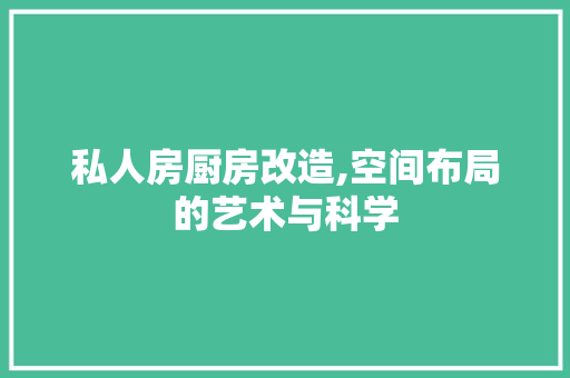私人房厨房改造,空间布局的艺术与科学