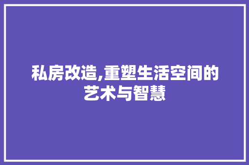 私房改造,重塑生活空间的艺术与智慧