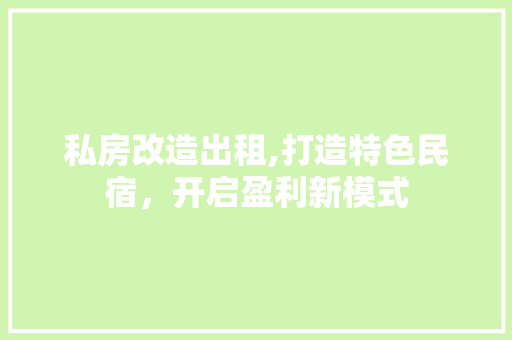 私房改造出租,打造特色民宿，开启盈利新模式 墙体维修