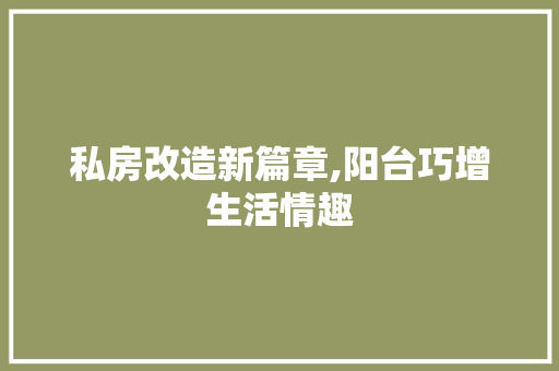 私房改造新篇章,阳台巧增生活情趣