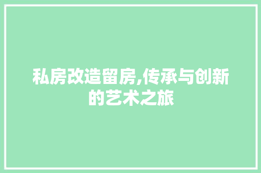 私房改造留房,传承与创新的艺术之旅