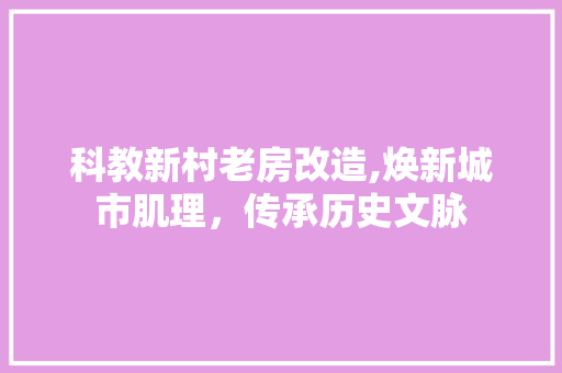 科教新村老房改造,焕新城市肌理，传承历史文脉