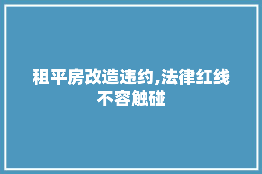 租平房改造违约,法律红线不容触碰