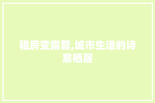 租房变露营,城市生活的诗意栖居 墙体维修