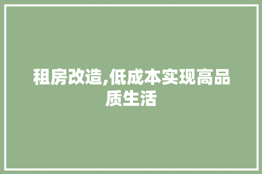 租房改造,低成本实现高品质生活 汽车维修