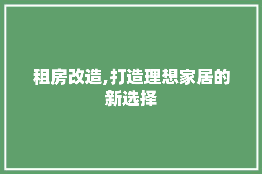 租房改造,打造理想家居的新选择