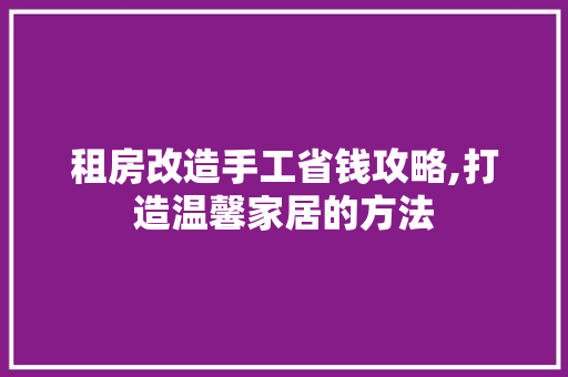 租房改造手工省钱攻略,打造温馨家居的方法 家电维修