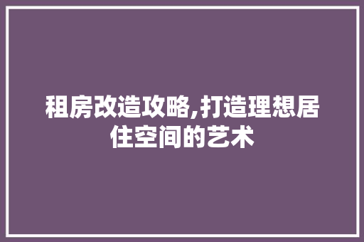 租房改造攻略,打造理想居住空间的艺术 汽车维修
