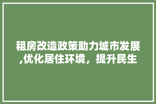 租房改造政策助力城市发展,优化居住环境，提升民生福祉