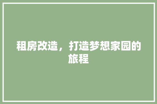 租房改造，打造梦想家园的旅程