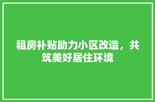 租房补贴助力小区改造，共筑美好居住环境