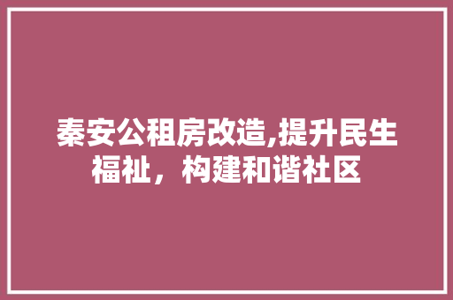 秦安公租房改造,提升民生福祉，构建和谐社区 家电维修