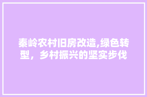 秦岭农村旧房改造,绿色转型，乡村振兴的坚实步伐 家电维修