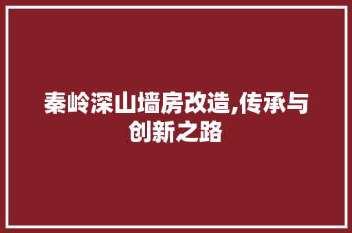 秦岭深山墙房改造,传承与创新之路 厨房维修