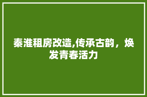 秦淮租房改造,传承古韵，焕发青春活力