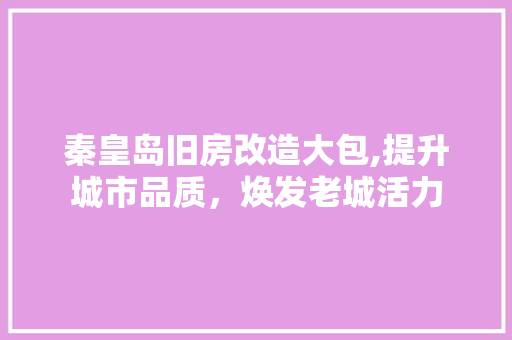 秦皇岛旧房改造大包,提升城市品质，焕发老城活力