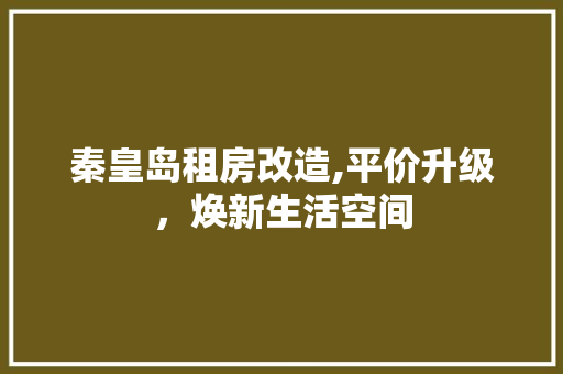秦皇岛租房改造,平价升级，焕新生活空间