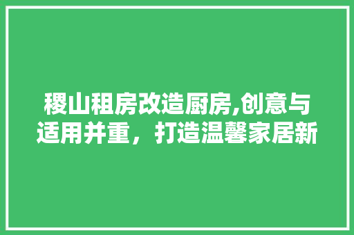 稷山租房改造厨房,创意与适用并重，打造温馨家居新天地 家电维修