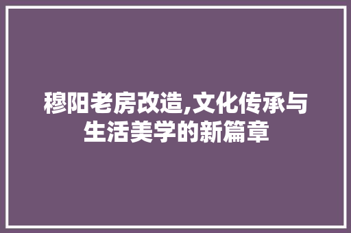 穆阳老房改造,文化传承与生活美学的新篇章 家电维修