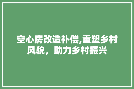 空心房改造补偿,重塑乡村风貌，助力乡村振兴 汽车维修
