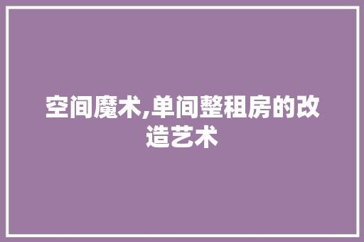 空间魔术,单间整租房的改造艺术