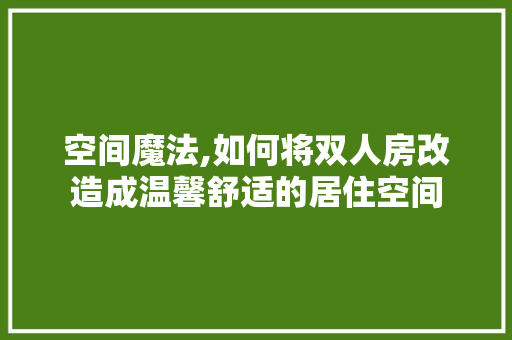 空间魔法,如何将双人房改造成温馨舒适的居住空间