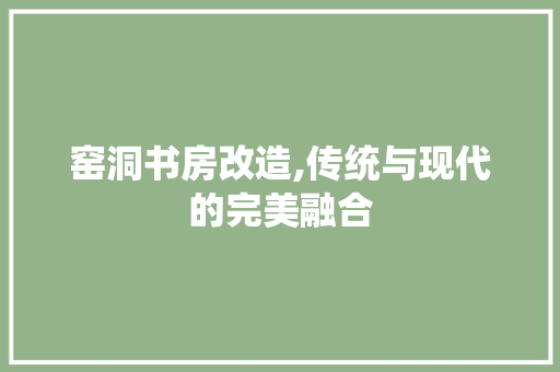窑洞书房改造,传统与现代的完美融合