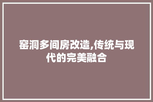 窑洞多间房改造,传统与现代的完美融合