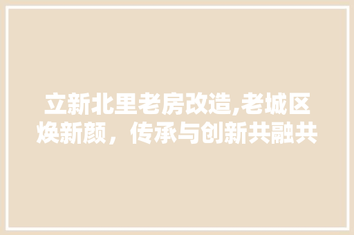 立新北里老房改造,老城区焕新颜，传承与创新共融共生