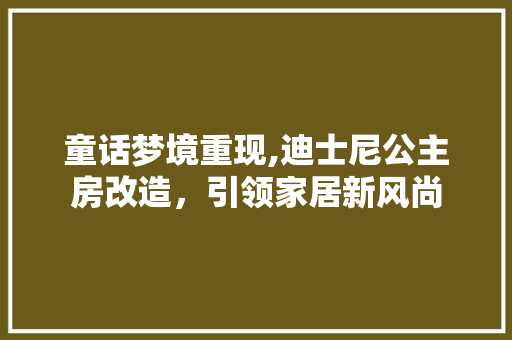 童话梦境重现,迪士尼公主房改造，引领家居新风尚 家电维修