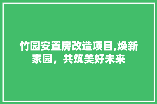 竹园安置房改造项目,焕新家园，共筑美好未来