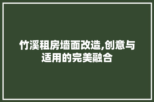 竹溪租房墙面改造,创意与适用的完美融合