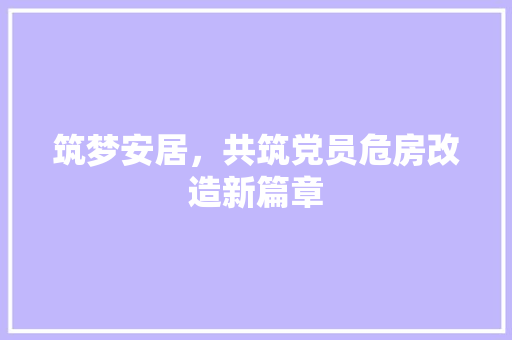 筑梦安居，共筑党员危房改造新篇章
