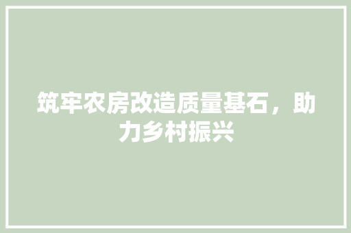 筑牢农房改造质量基石，助力乡村振兴