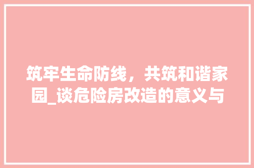筑牢生命防线，共筑和谐家园_谈危险房改造的意义与路径 墙体维修