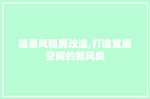 简易风租房改造,打造宜居空间的新风尚