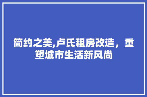 简约之美,卢氏租房改造，重塑城市生活新风尚