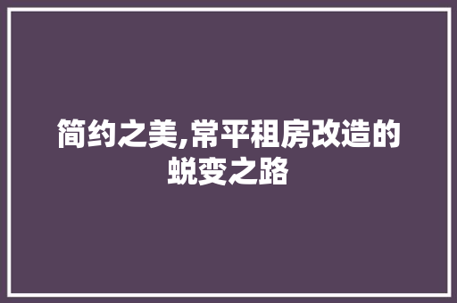 简约之美,常平租房改造的蜕变之路