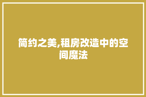 简约之美,租房改造中的空间魔法 家电维修