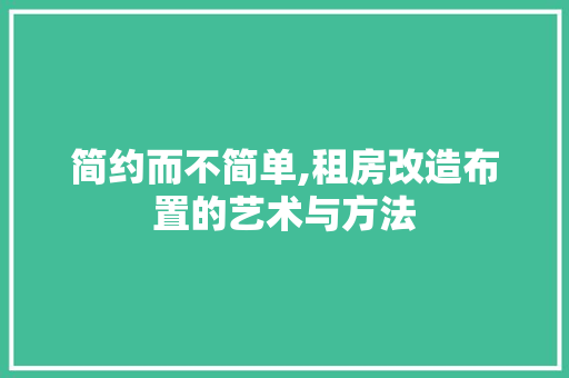 简约而不简单,租房改造布置的艺术与方法