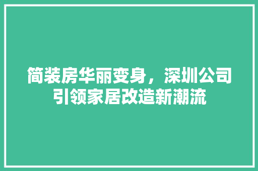 简装房华丽变身，深圳公司引领家居改造新潮流