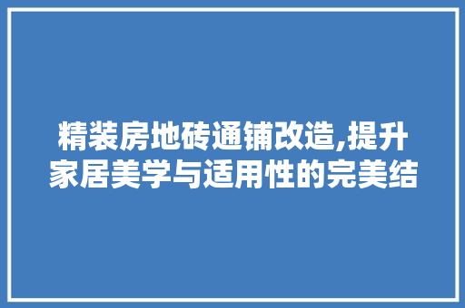 精装房地砖通铺改造,提升家居美学与适用性的完美结合