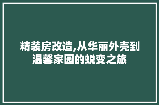 精装房改造,从华丽外壳到温馨家园的蜕变之旅