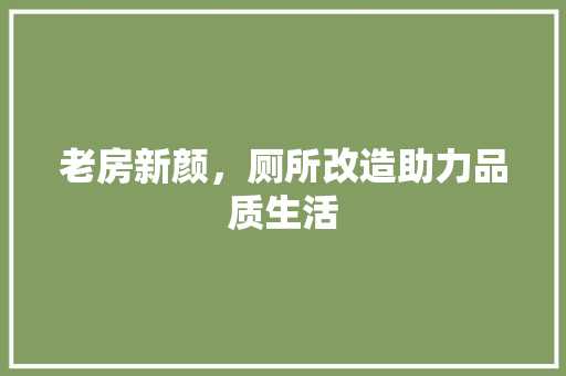 老房新颜，厕所改造助力品质生活