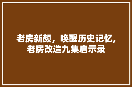 老房新颜，唤醒历史记忆,老房改造九集启示录