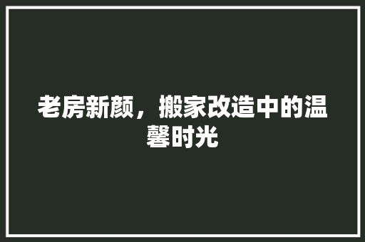 老房新颜，搬家改造中的温馨时光