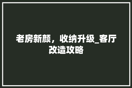 老房新颜，收纳升级_客厅改造攻略