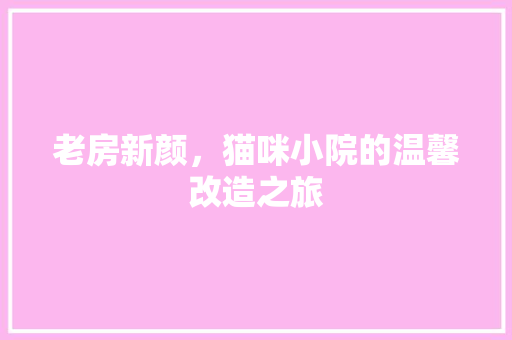 老房新颜，猫咪小院的温馨改造之旅