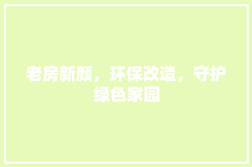老房新颜，环保改造，守护绿色家园